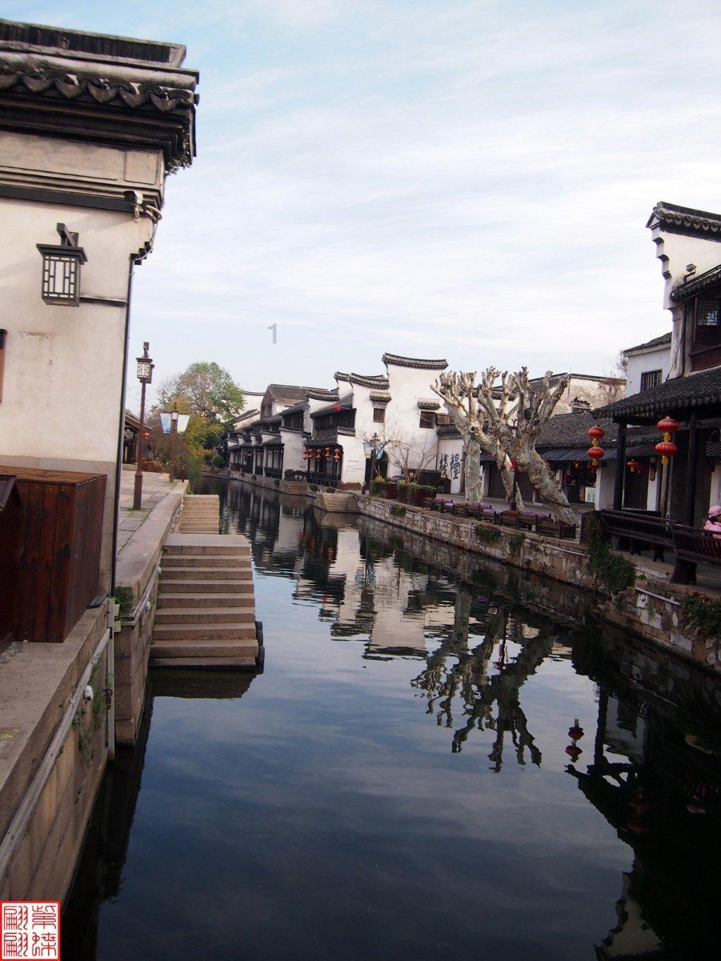 动物帮帮忙保卫家园